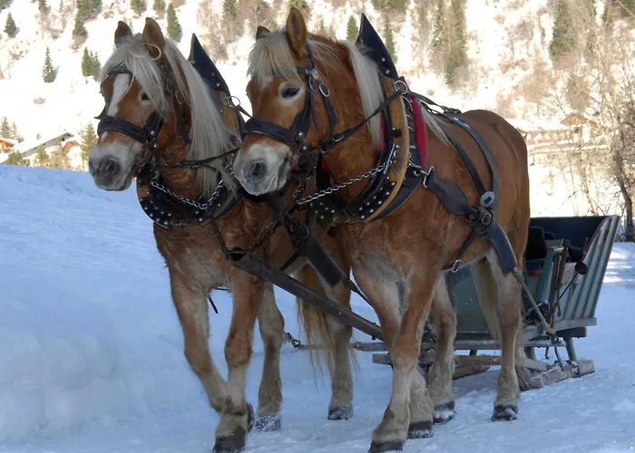 Monte Civetta 3* أليغ