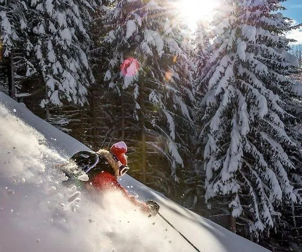 Monte Civetta Hotel Alleghe