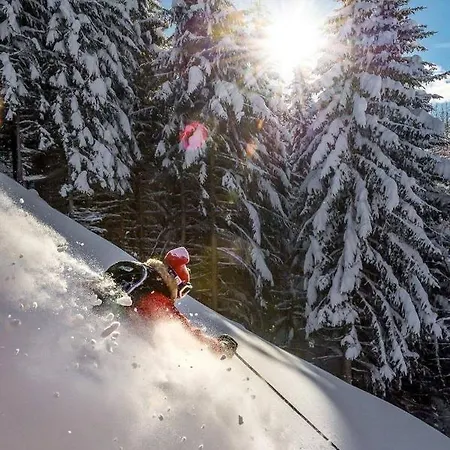 Monte Civetta Hotel Alleghe